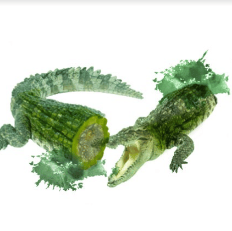 International School of Design Hyderabad Student Work photo 12